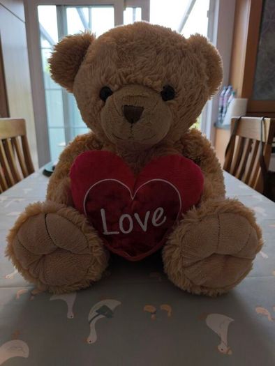 Teddy Bear