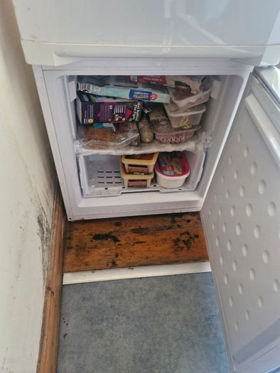 Fride Freezer