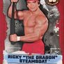 WWE Slam Attax Trading Cards - Choose from 25-Choose Your Wrestler - Topps Image 8