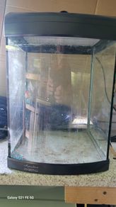 fish tank