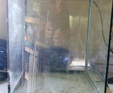 fish tank