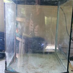 fish tank