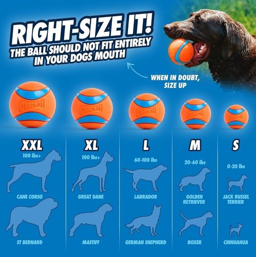 Ultra Ball Dog Toy, Durable High Bounce Floating Rubber Dog Ball, Launcher Compatible Toy For Dogs, Medium (Pack of 2)