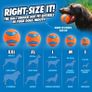 Ultra Ball Dog Toy, Durable High Bounce Floating Rubber Dog Ball, Launcher Compatible Toy For Dogs, Medium (Pack of 2) Image 4