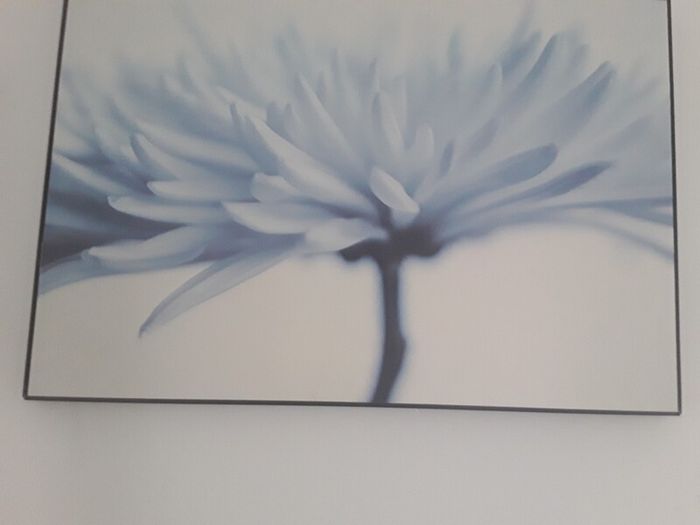 large picture