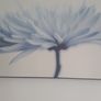 large picture Image 6