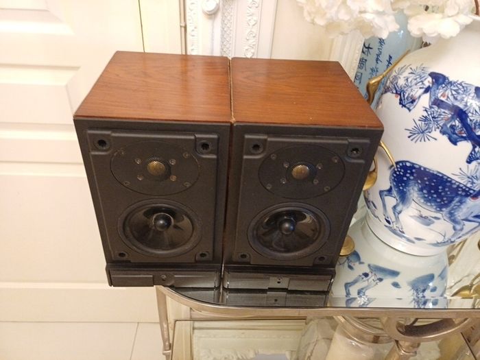 MS10i speaker