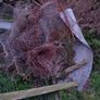 Scrap Metal Image 5