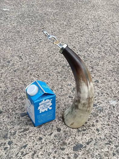 12 Inch Australian Bull Horn Bottle Opener