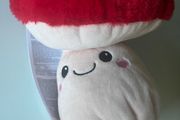 Hot plush