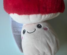 Hot plush