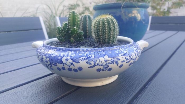 Fabulous Vintage Arklow Pottery Blue and White Tureen with Cacti Garden - A Fabulous Unique and Decorative Item for Display Indoors
