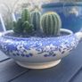 Fabulous Vintage Arklow Pottery Blue and White Tureen with Cacti Garden - A Fabulous Unique and Decorative Item for Display Indoors Image 9