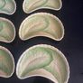 Antique Minton china lettuce leaf crescent dishes Image 4