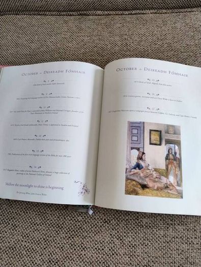 An Irish Woman's Book of Days 2012 hardback with dustcover in excellent condition 112 pages of Inspiration Verse and Celebration FREE STANDARD POSTAGE INCLUDED