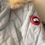 Canada Goose Image 6