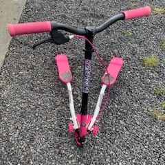 Sporter wriggle scooter