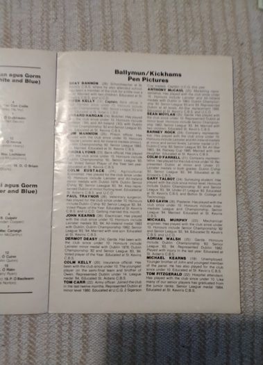Dublin   Gaa Programme