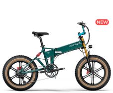 Fiido M1 Pro Electric Bike