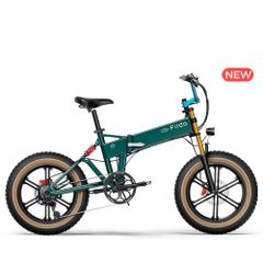 Fiido M1 Pro Electric Bike
