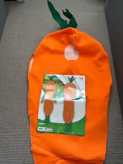 Carrot Costume - Kids