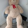 Giant Teddy Bear Image 2