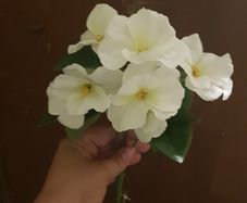 wedding flowers artificial white
