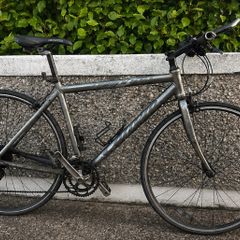 carrera bicycle for sale