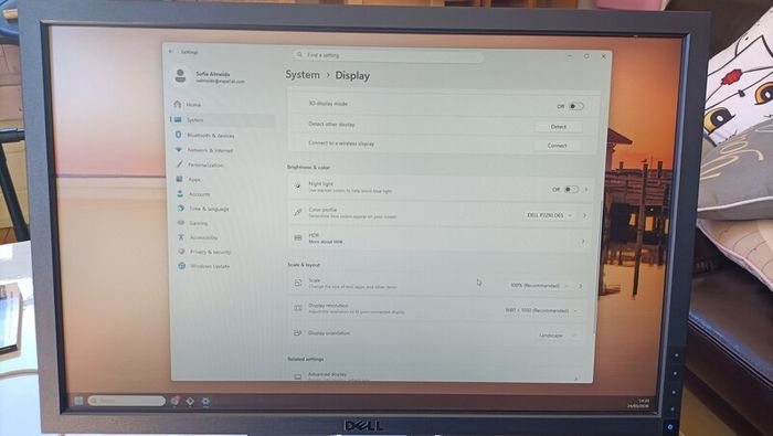 22" Dell Monitors