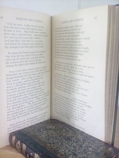 Idylls of The King: In Twelve Books by Alfred Lord Tennyson (HQ457)
