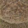 Hay Image 3
