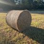 Hay Image 2
