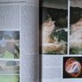Photography book 'How to take better Pictures' by Michael Busselle Image 2