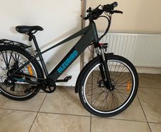 Electric Bike BleuBird e-bike