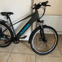 Electric Bike BleuBird e-bike