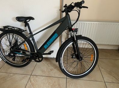 Electric Bike BleuBird e-bike