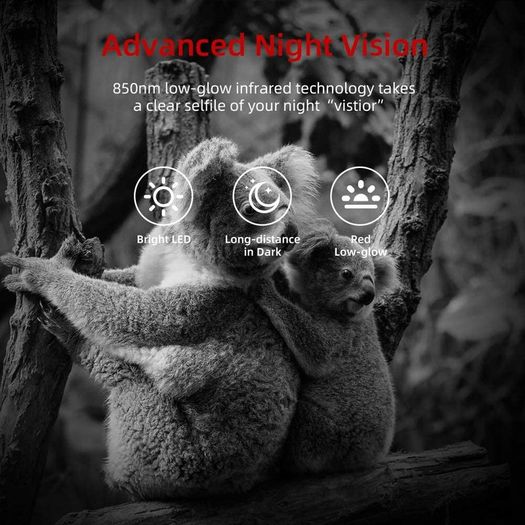 Mini Wildlife Camera 20MP 1080P Trail Camera Infrared Night Vision 0.3S Motion Activated Waterproof Cam for Garden Camera Trap and Outdoor Nature Wildlife Scouting Include 8GB SD Card