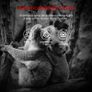 Mini Wildlife Camera 20MP 1080P Trail Camera Infrared Night Vision 0.3S Motion Activated Waterproof Cam for Garden Camera Trap and Outdoor Nature Wildlife Scouting Include 8GB SD Card Image 4