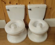 Summer 2-in-1 training potty