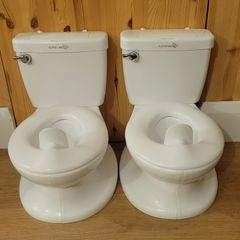 Summer 2-in-1 training potty