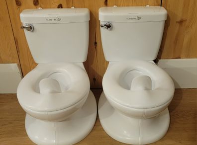Summer 2-in-1 training potty
