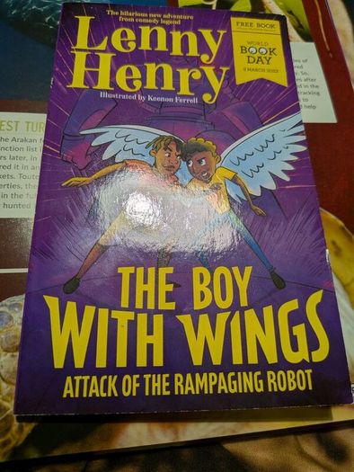 the boy with wings