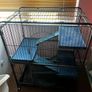 cage Image 2