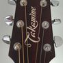 Vintage Japanese F340s Takamine guitar Image 10