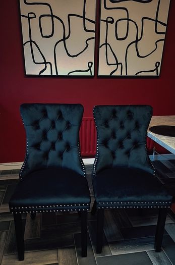 kitchen/dinning chairs