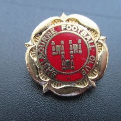 Irish Football Badge: Shelbourne Fc