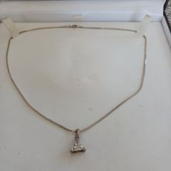 silver chain and pendant