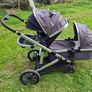 Halo Zummi single/double buggy Image 3