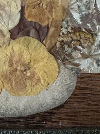 Vintage Framed Pressed Flower Wall Art - Handmade Botanical Piece (38 x 41 cm)