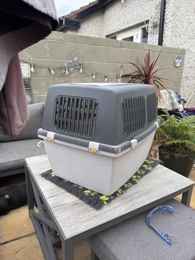 Gulliver Pet Travel Crate